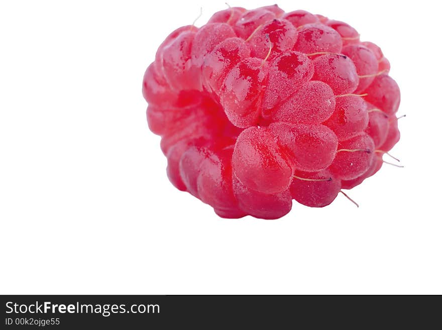 Raspberry On White