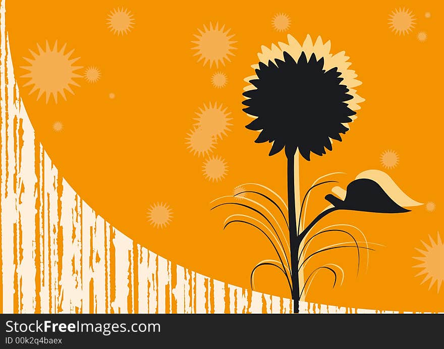 Orange background with shade of sunflower