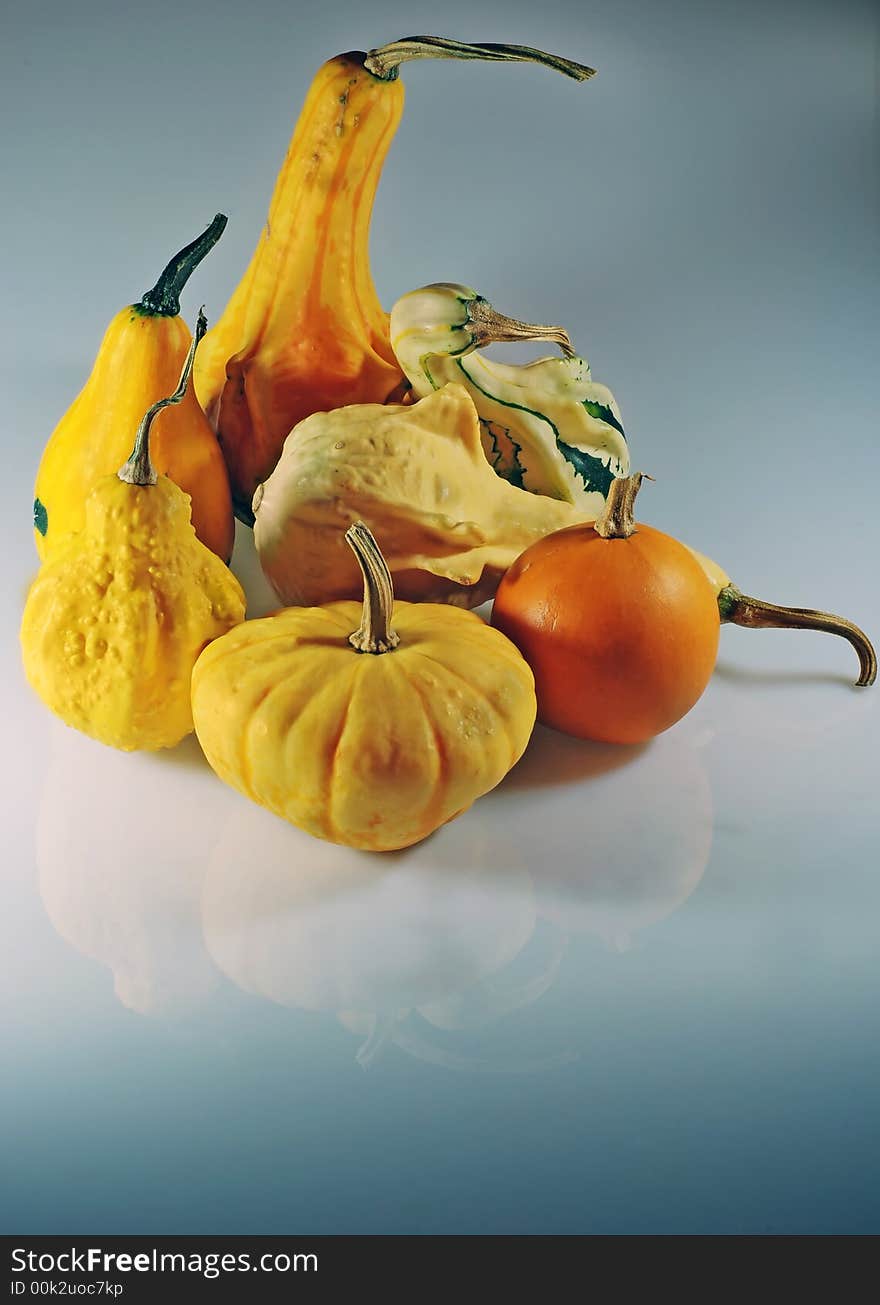 Autumn composition with different kinds pumpkin. Autumn composition with different kinds pumpkin