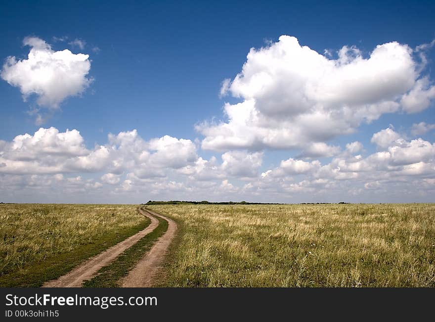 Rural Landscape With Road