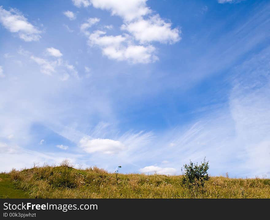 Yellow field and blue sky with clouds