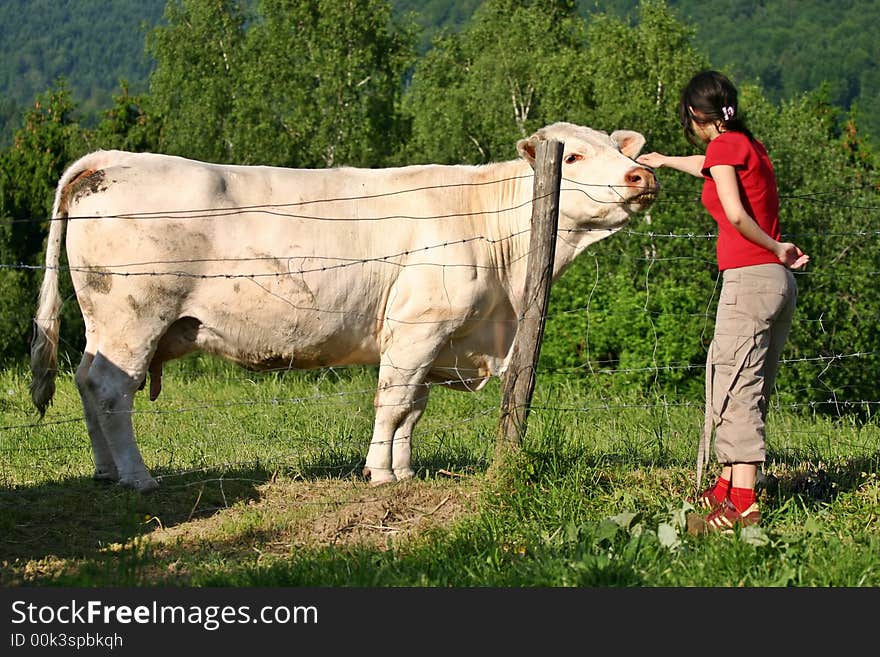 Girl and cow