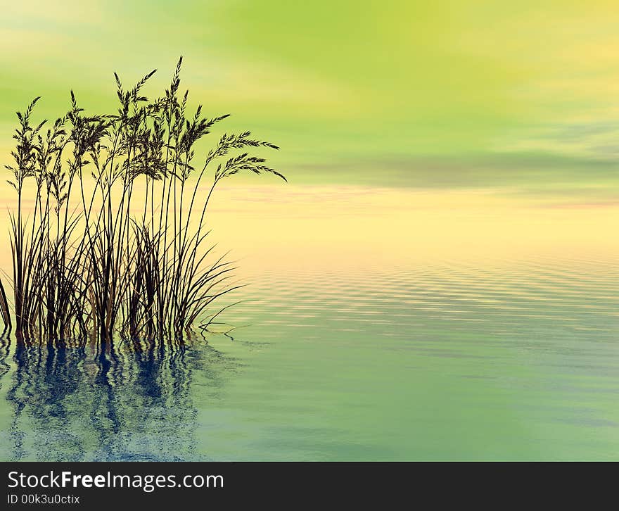 Water plants on a sea sunset  background  -  3D scene. Water plants on a sea sunset  background  -  3D scene.