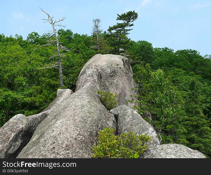 The huge granite grey rock among forest. The form of rock as perking human or elephant. Russian Far East, Primorye. The huge granite grey rock among forest. The form of rock as perking human or elephant. Russian Far East, Primorye.