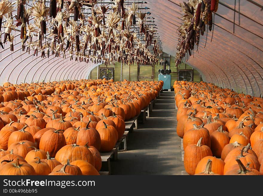 Pumpkin Farm Stand