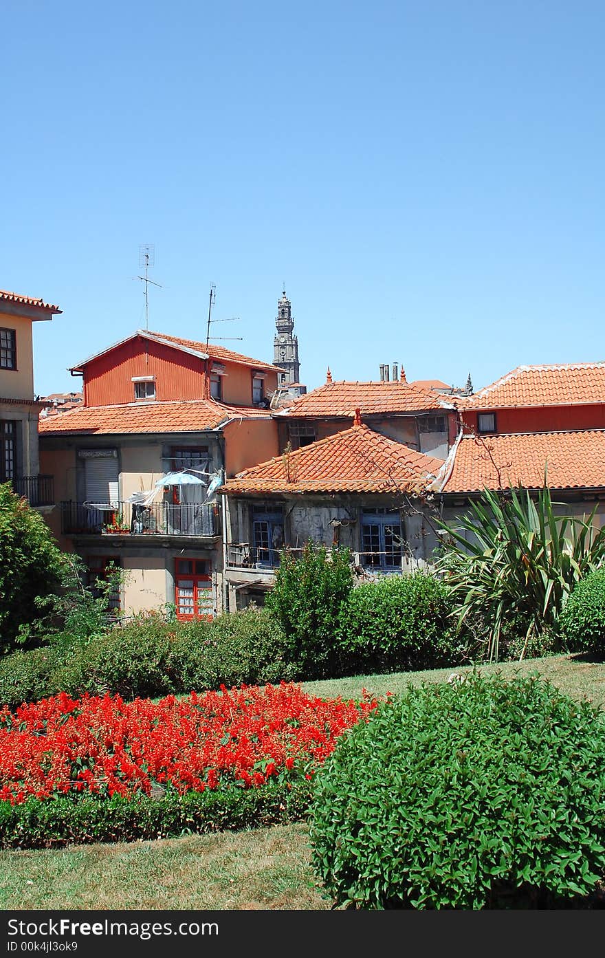 Panorama View From Oporto City