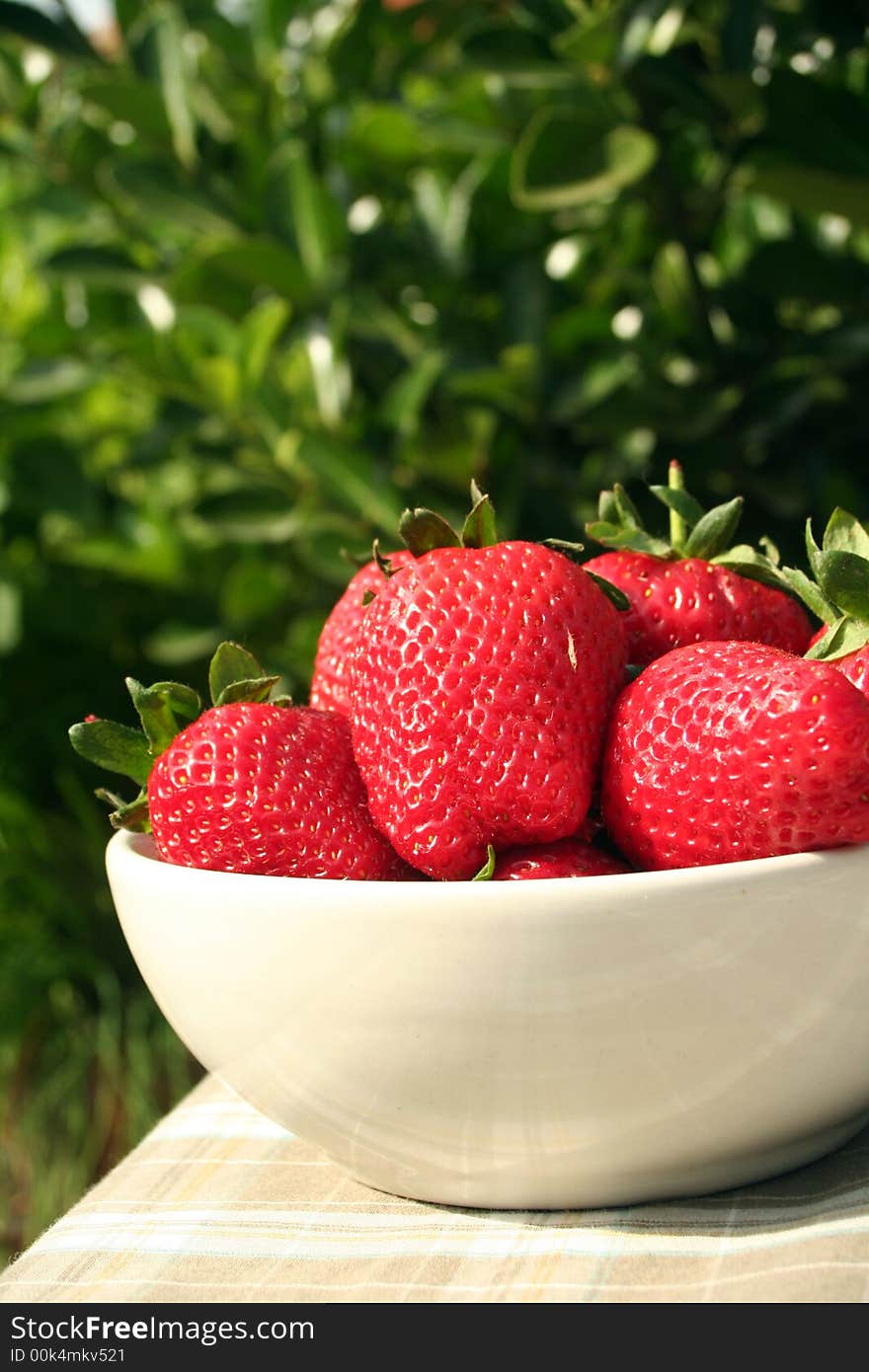 Big red strawberries from the summer garden