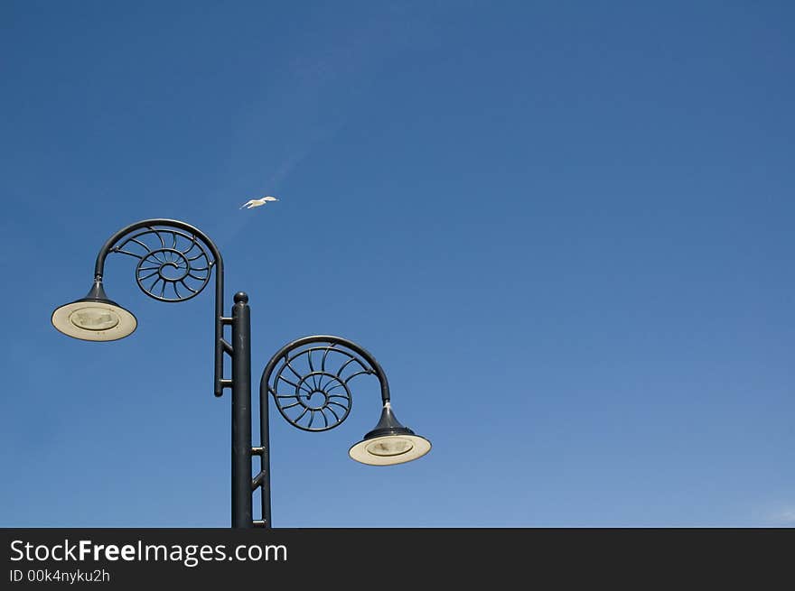 Street Lamp And Gull