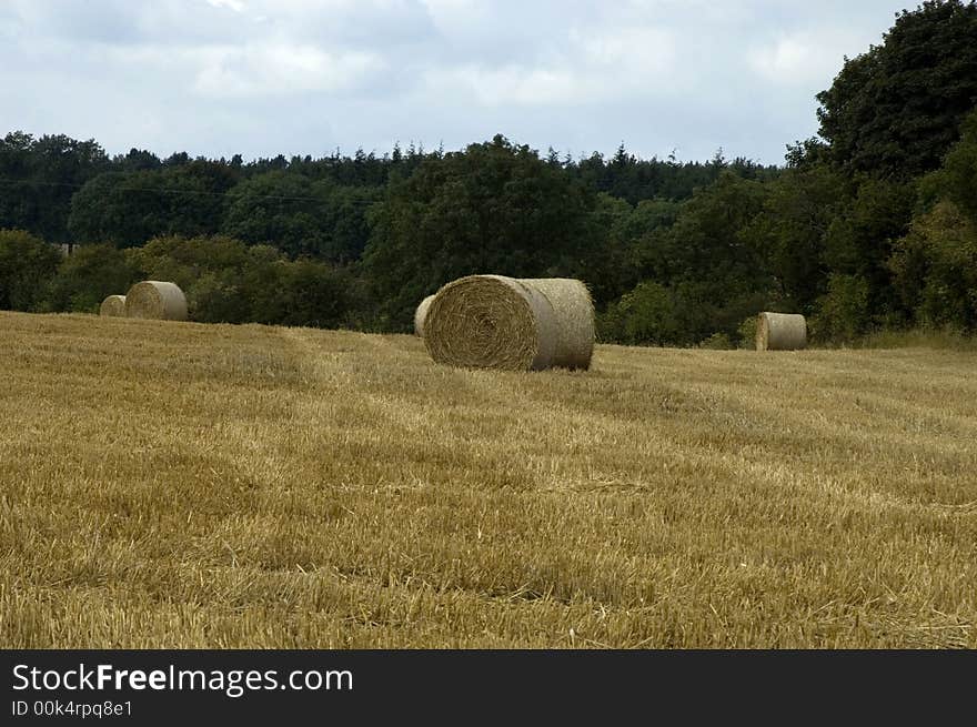 Hay in Yorkshire