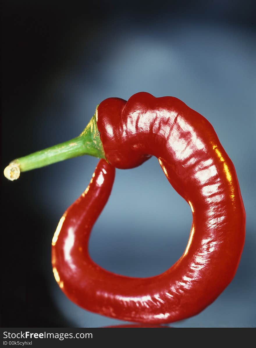 Red pepper on a grey background