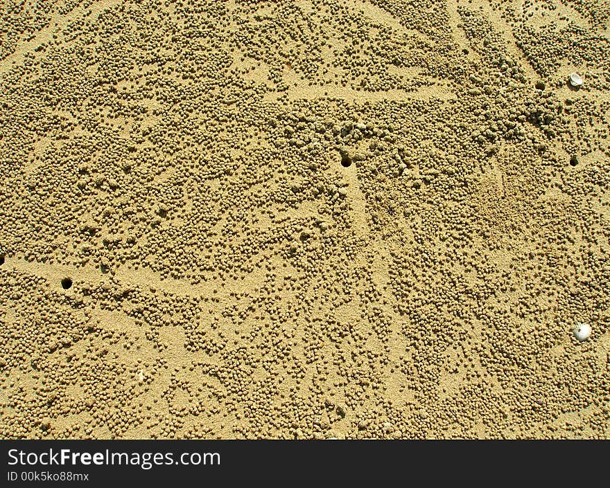 Crab houses and grains on the beach. In every hole lives small baby crab. Granules are made by them and surrounding their homes.Beach in tropical country.