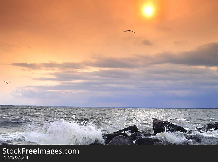 Landscape on a background of the coming sun. Landscape on a background of the coming sun