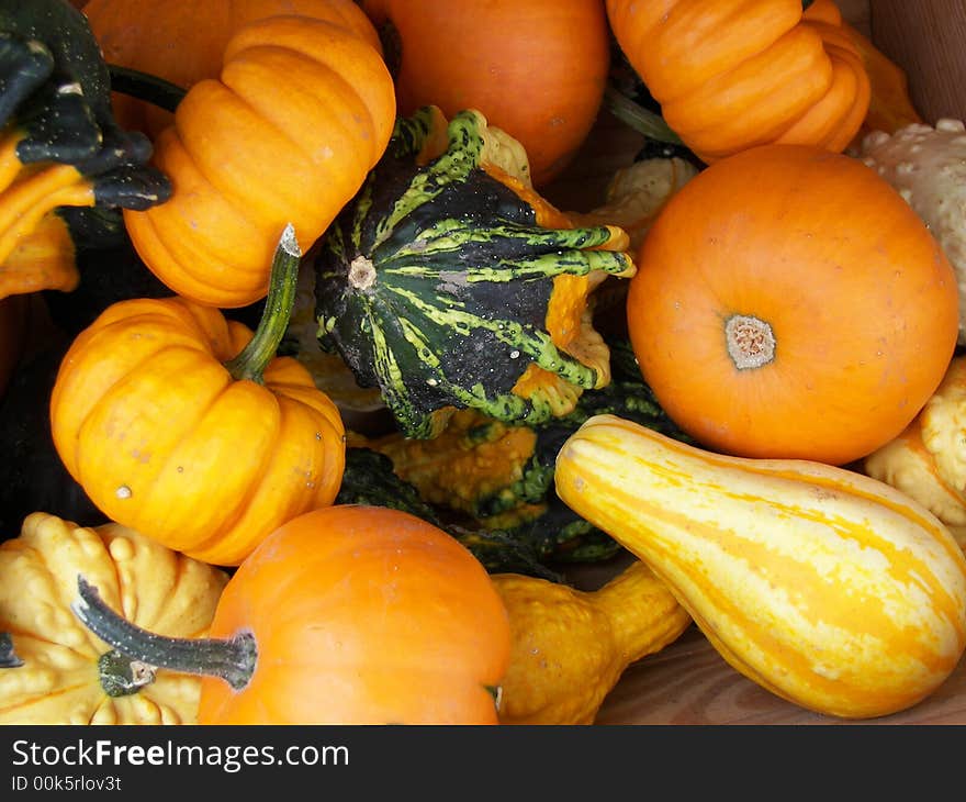 Variety of bright colored autumn gourds. Variety of bright colored autumn gourds.