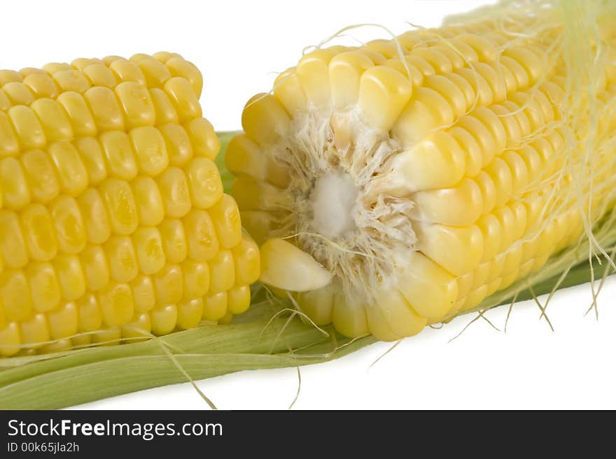 Corn isolated on white background.