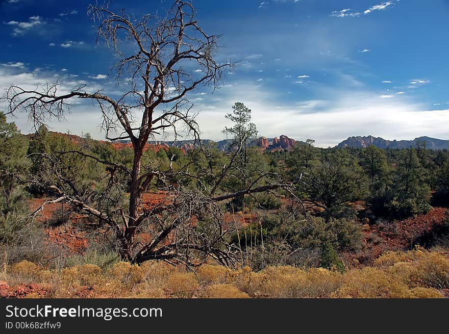 Sedona Mountains and Desert in the Late Afternoon. Sedona Mountains and Desert in the Late Afternoon