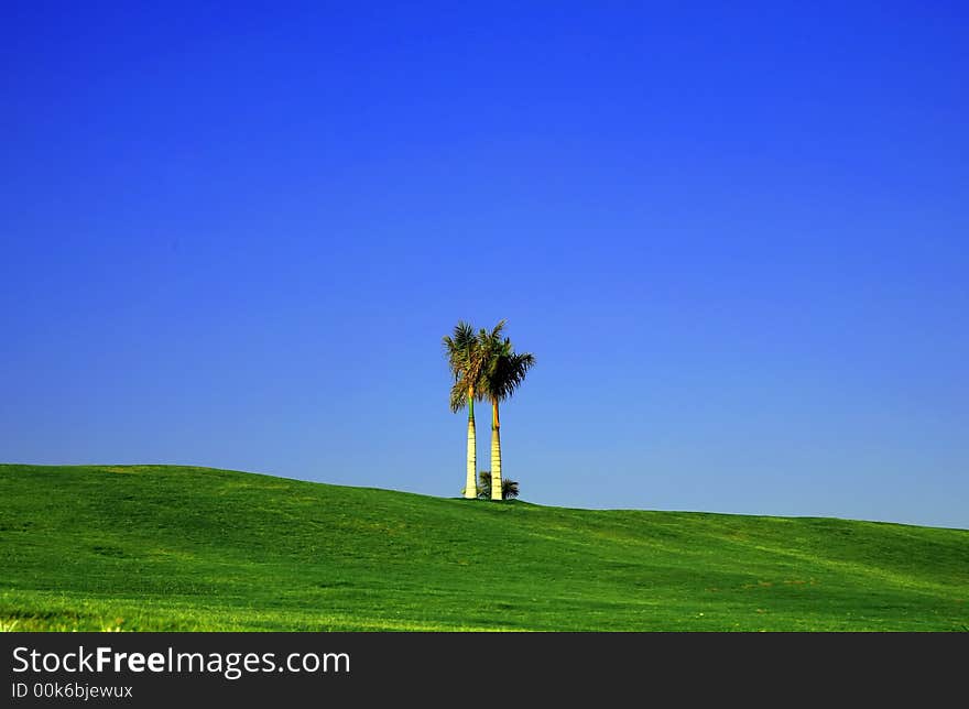 Beautiful view of green grass under blue sky in golf field