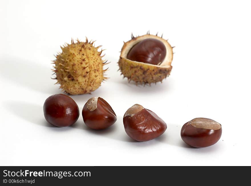 A group of chestnuts on background. A group of chestnuts on background