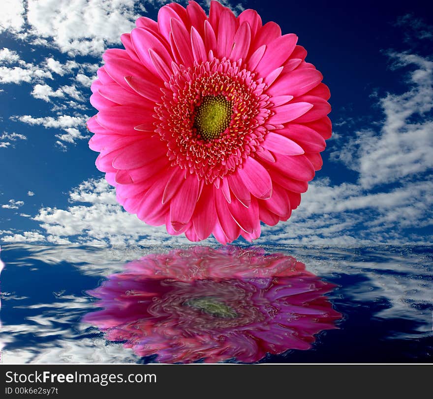 A flower reflected in water with a cloudy sky. A flower reflected in water with a cloudy sky.