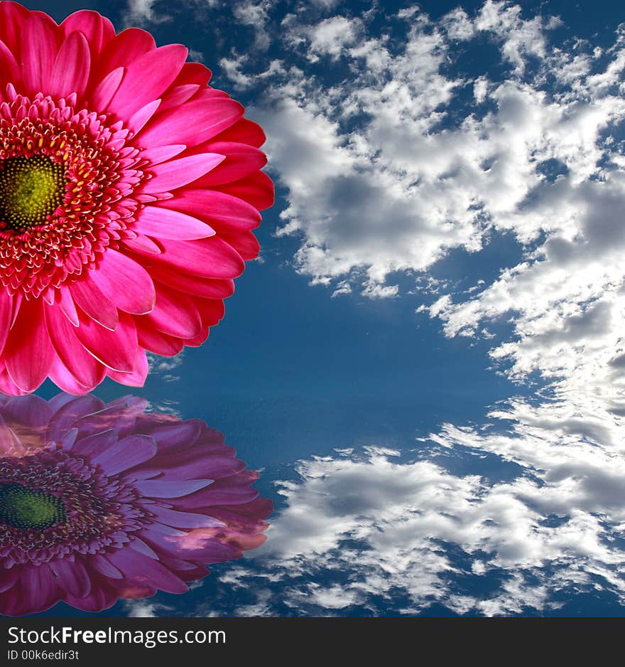 A reflection of a flower in water with clouds. A reflection of a flower in water with clouds