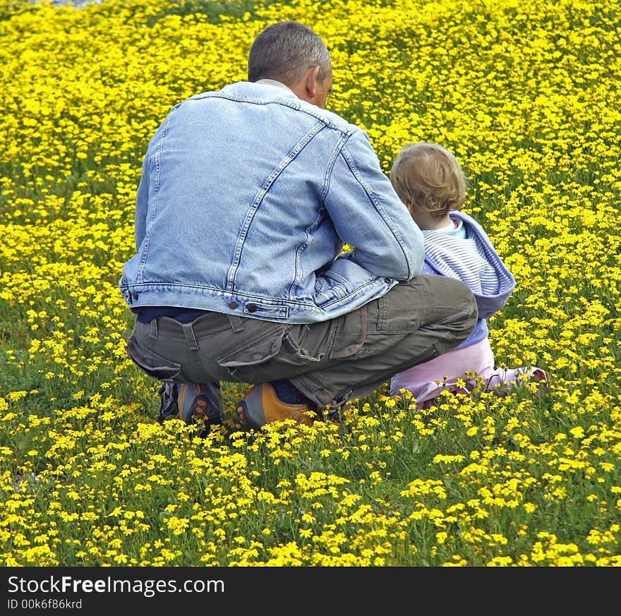 Father and daughter admiring wild flowers in a field. Father and daughter admiring wild flowers in a field.