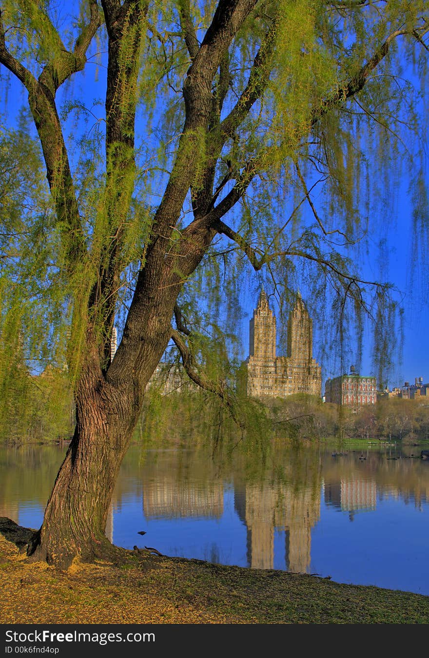 Spring in Central Park