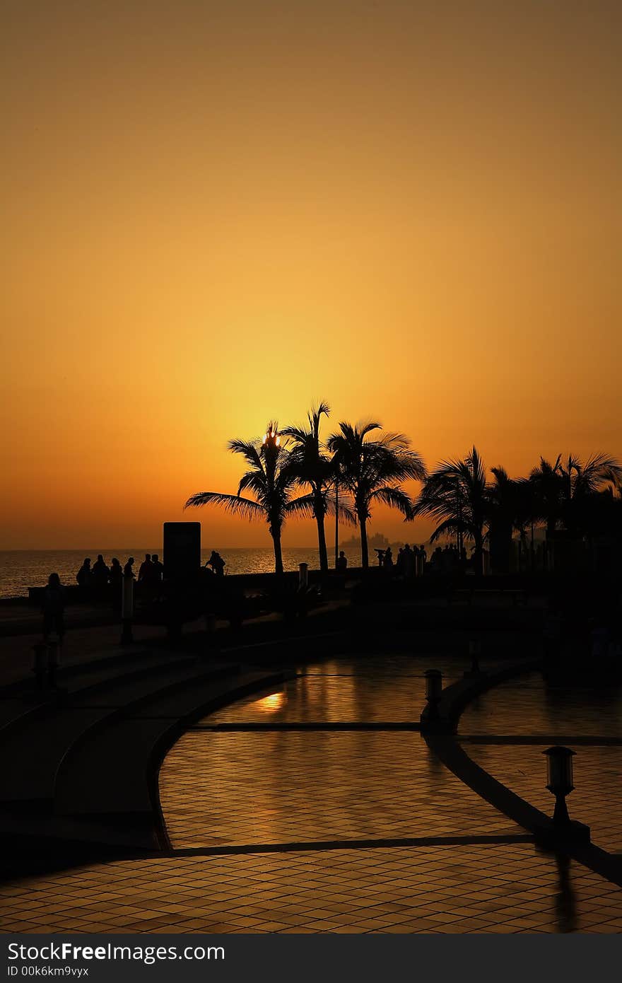 Orange sunset with palms near the beach