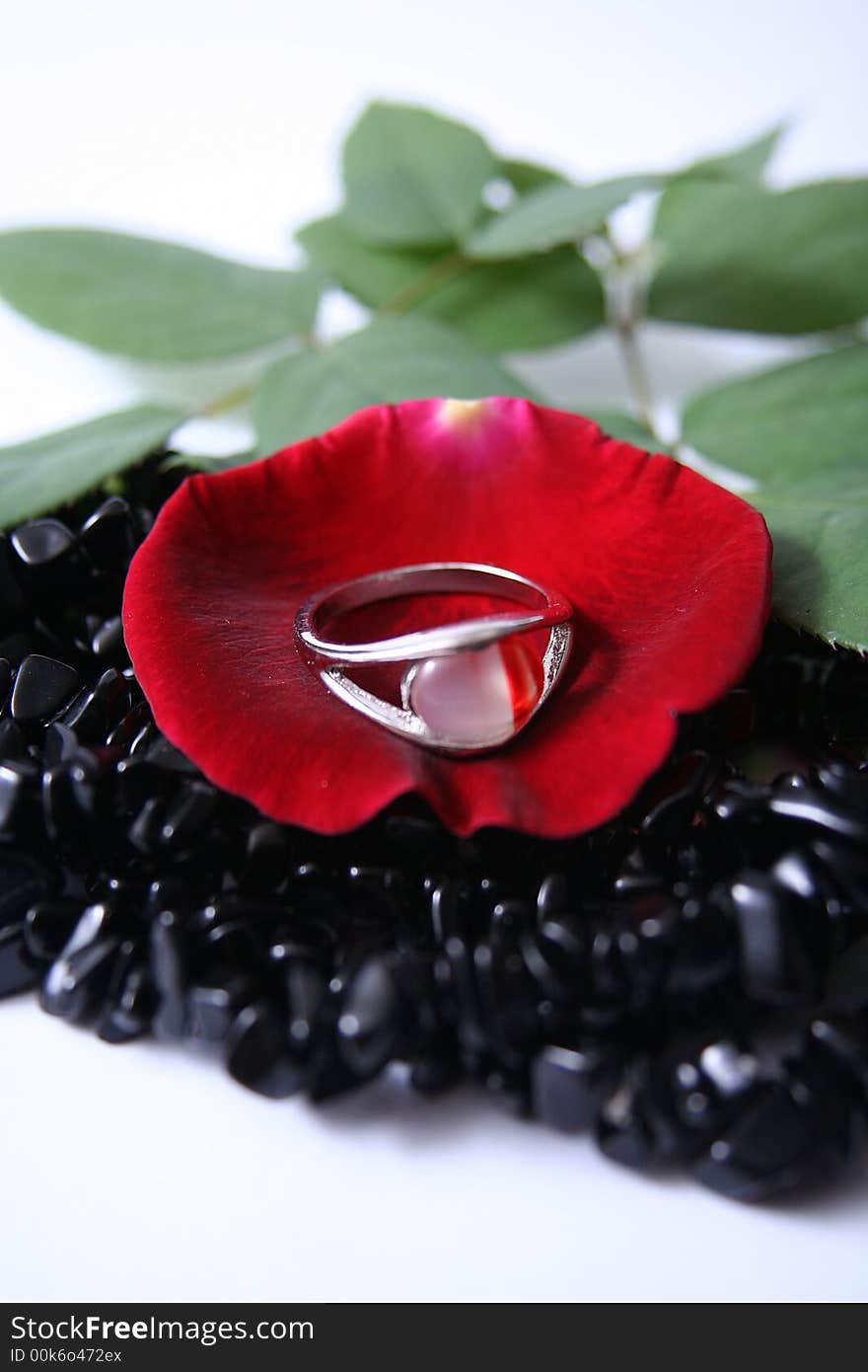 A white and red ring on a red rose petal with beads around. A white and red ring on a red rose petal with beads around