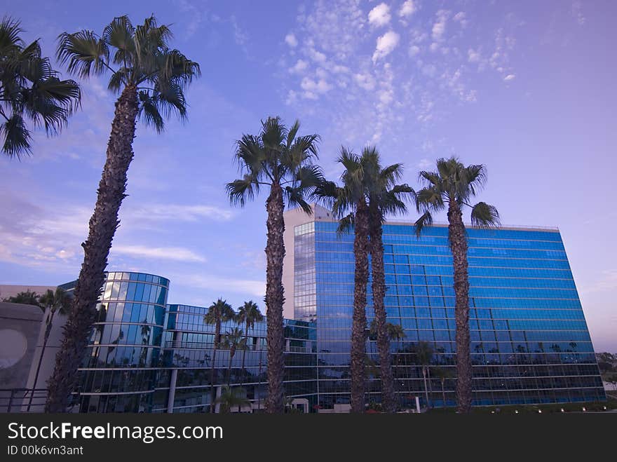 Glass building and palm trees lit by an evening sun. Glass building and palm trees lit by an evening sun.