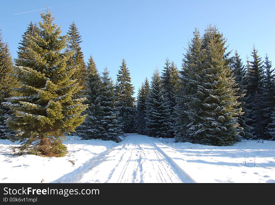 Winter in the North of Slovakia. Winter in the North of Slovakia