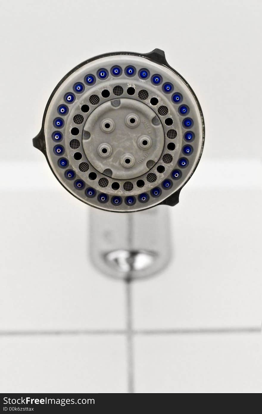 A Calcified Shower Head