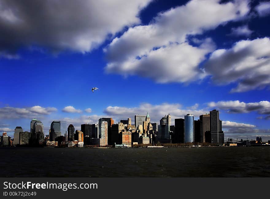 The financial district with a seagull. The financial district with a seagull