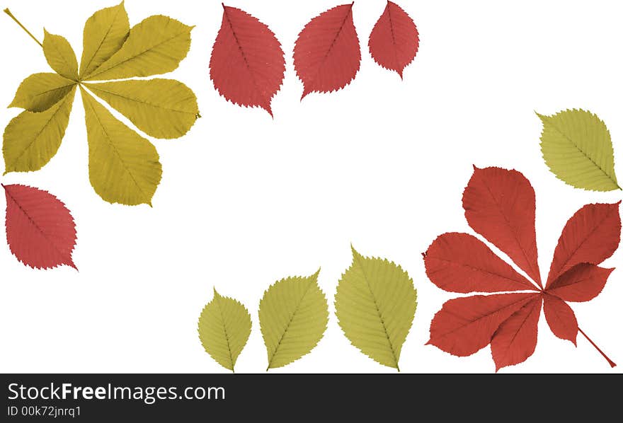 Original abstract autumn leaf frame. Original abstract autumn leaf frame