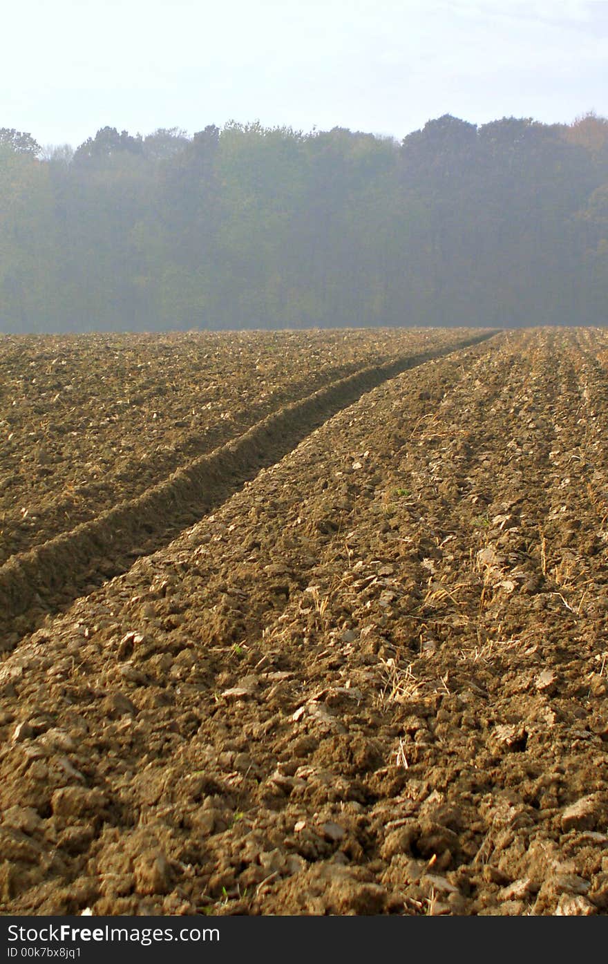 Autumn day field