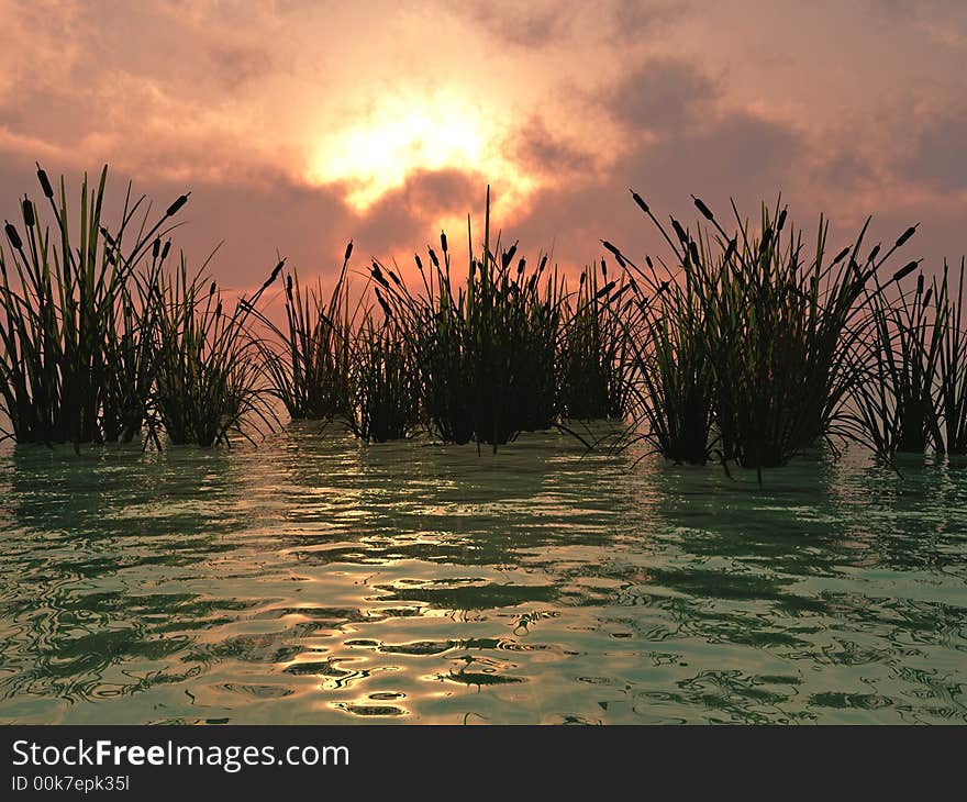 Water plants on a sea sunset background - 3D scene. Water plants on a sea sunset background - 3D scene.