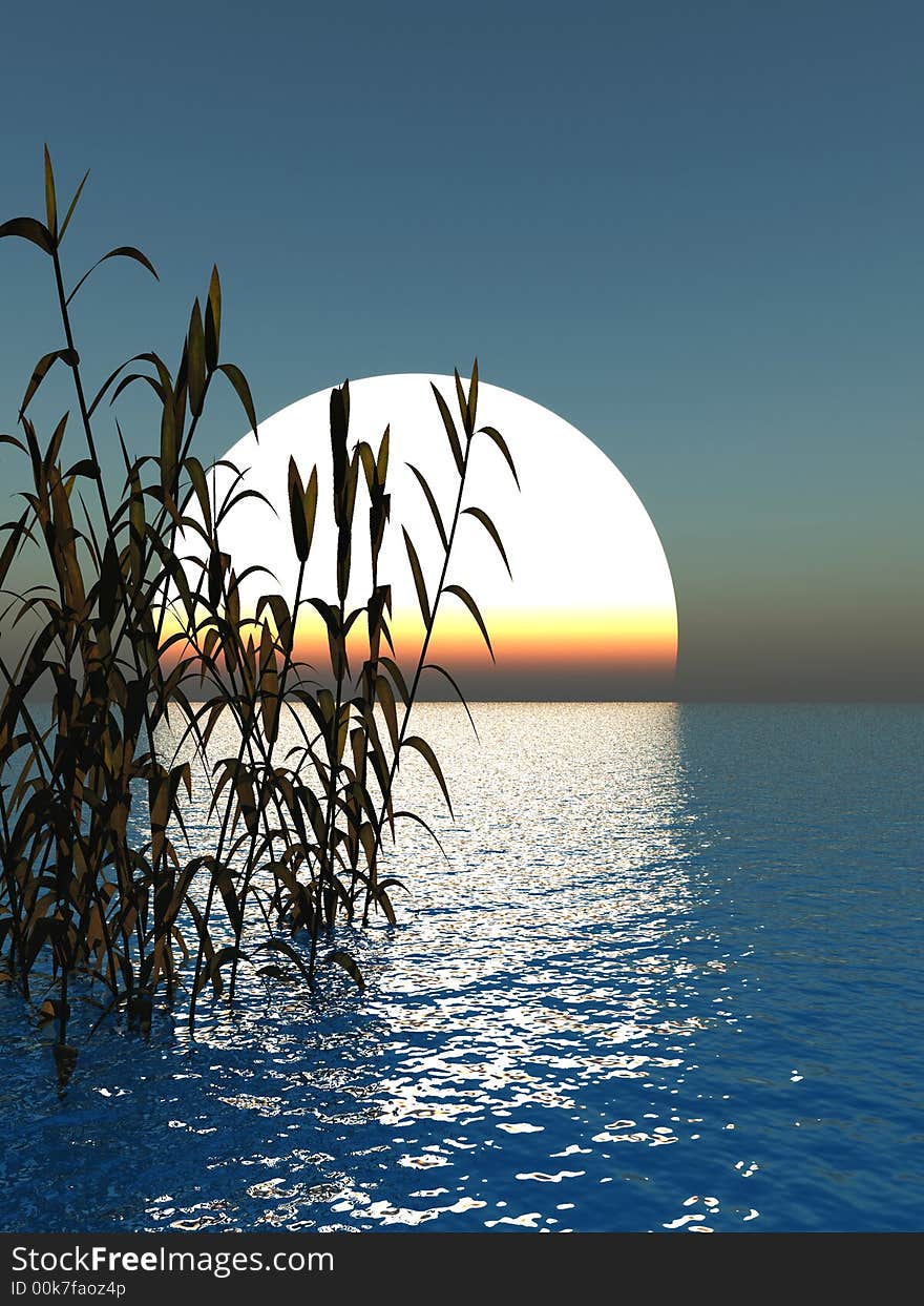 Water plants on a sea sunset  background  -  3D scene. Water plants on a sea sunset  background  -  3D scene.