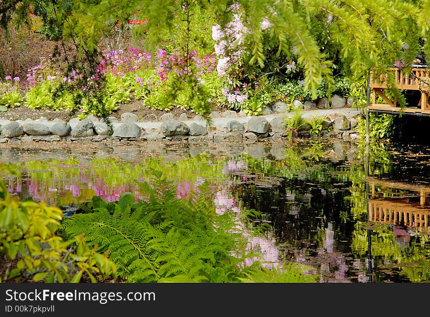 Pond In Japanese Garden