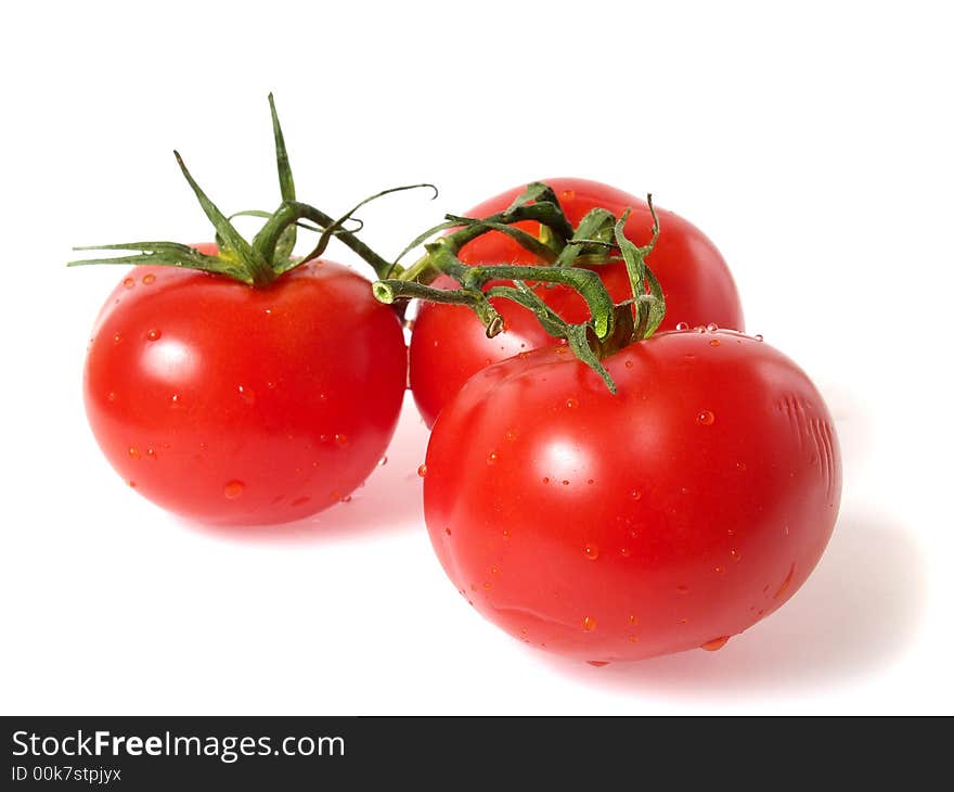 Tree vine tomatoes, fresh with water droplets, isolated on white. Tree vine tomatoes, fresh with water droplets, isolated on white