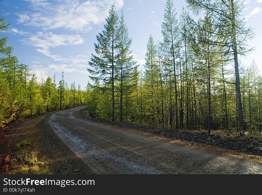 Ground road in a Russian taiga