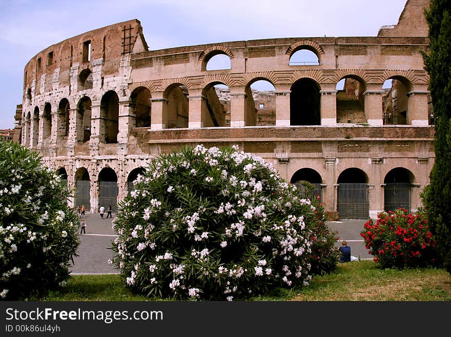 Colosseum and flowers