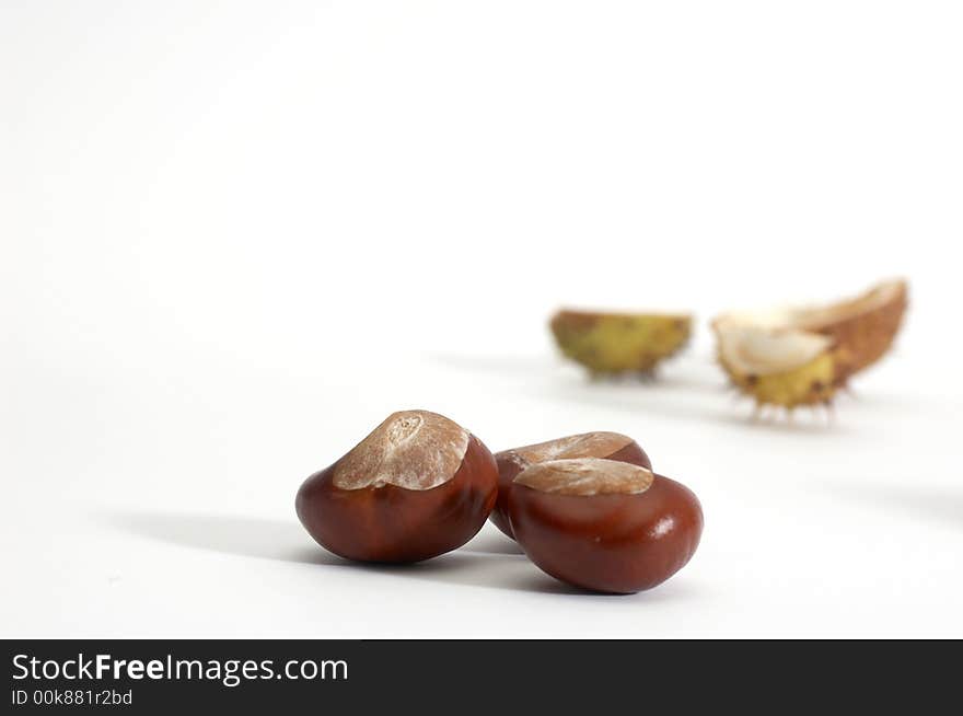 Brown chestnuts on a background