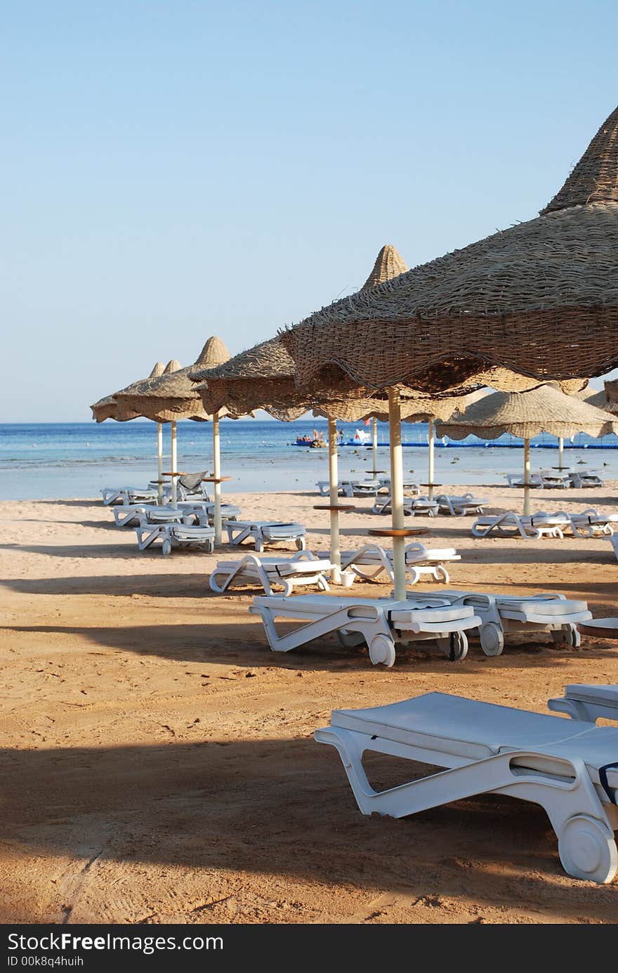 Beach Umbrella