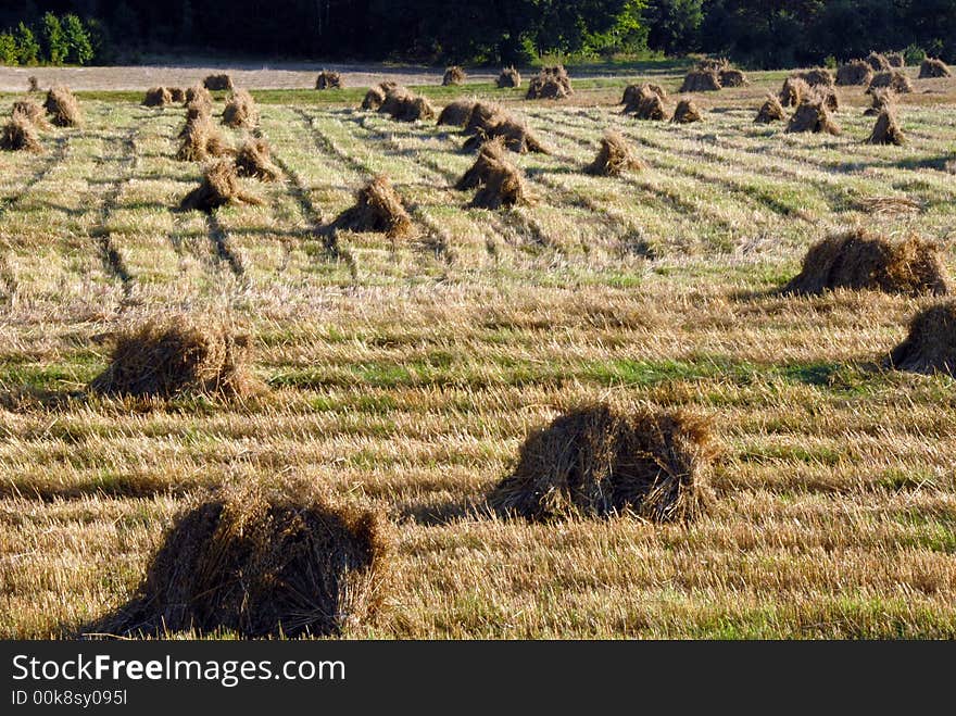 Haymaking