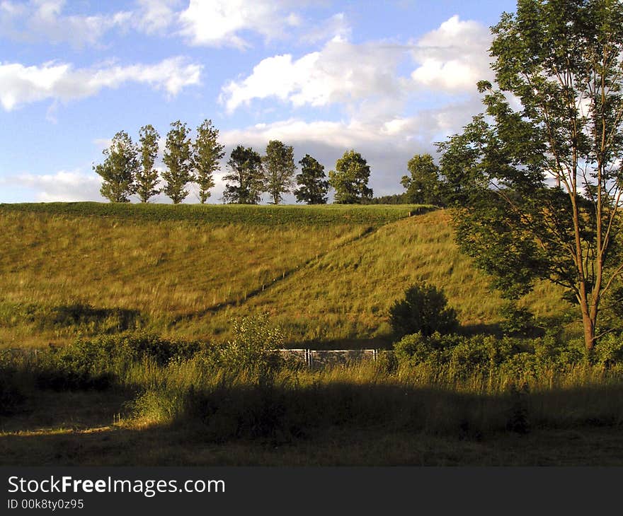 Meadow with slope and trees, blue sky above. Harvests