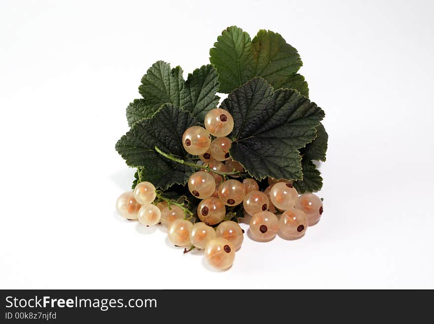 White currant