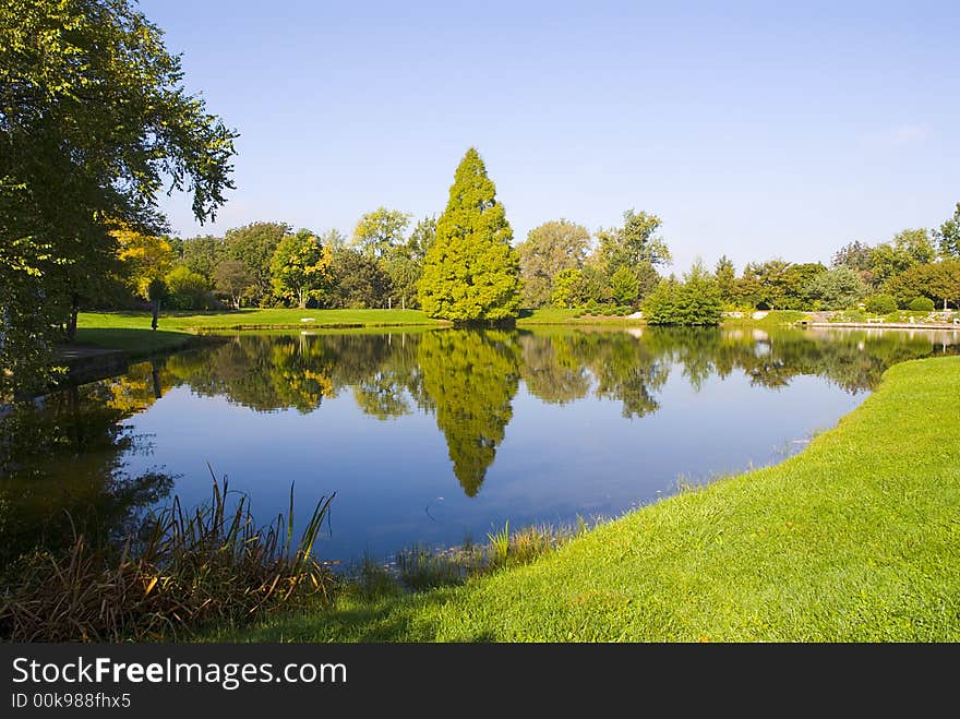 Tree standing next to a calm pond casts its reflection on the water with a blue sky. Tree standing next to a calm pond casts its reflection on the water with a blue sky