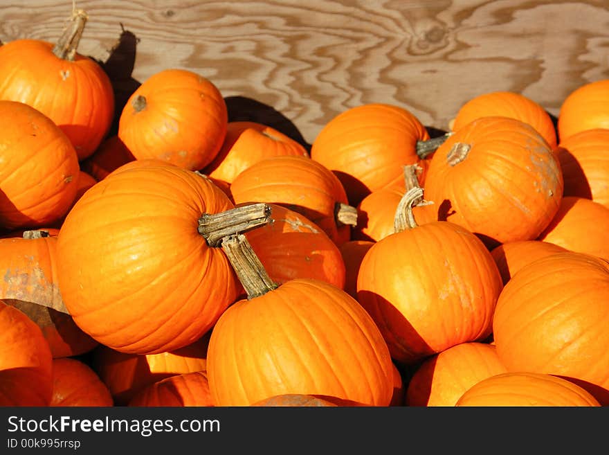 Halloween pumpkins lying in a bin. Halloween pumpkins lying in a bin