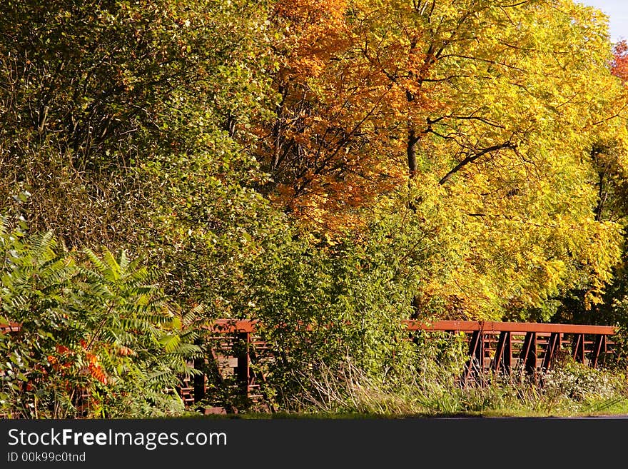 Fall colors with orange and yellow maples and oaks. Fall colors with orange and yellow maples and oaks