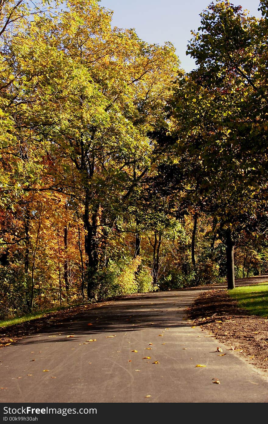 Pathway surrounded by fall foliage and autumn colors