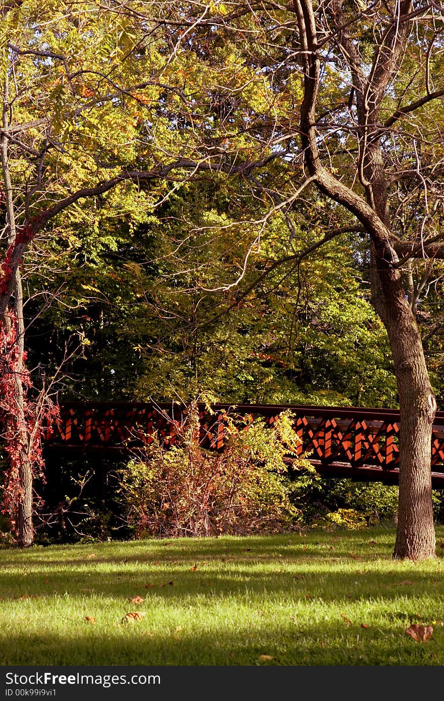 Fall foliage with orange and yellow maples and oaks leaves