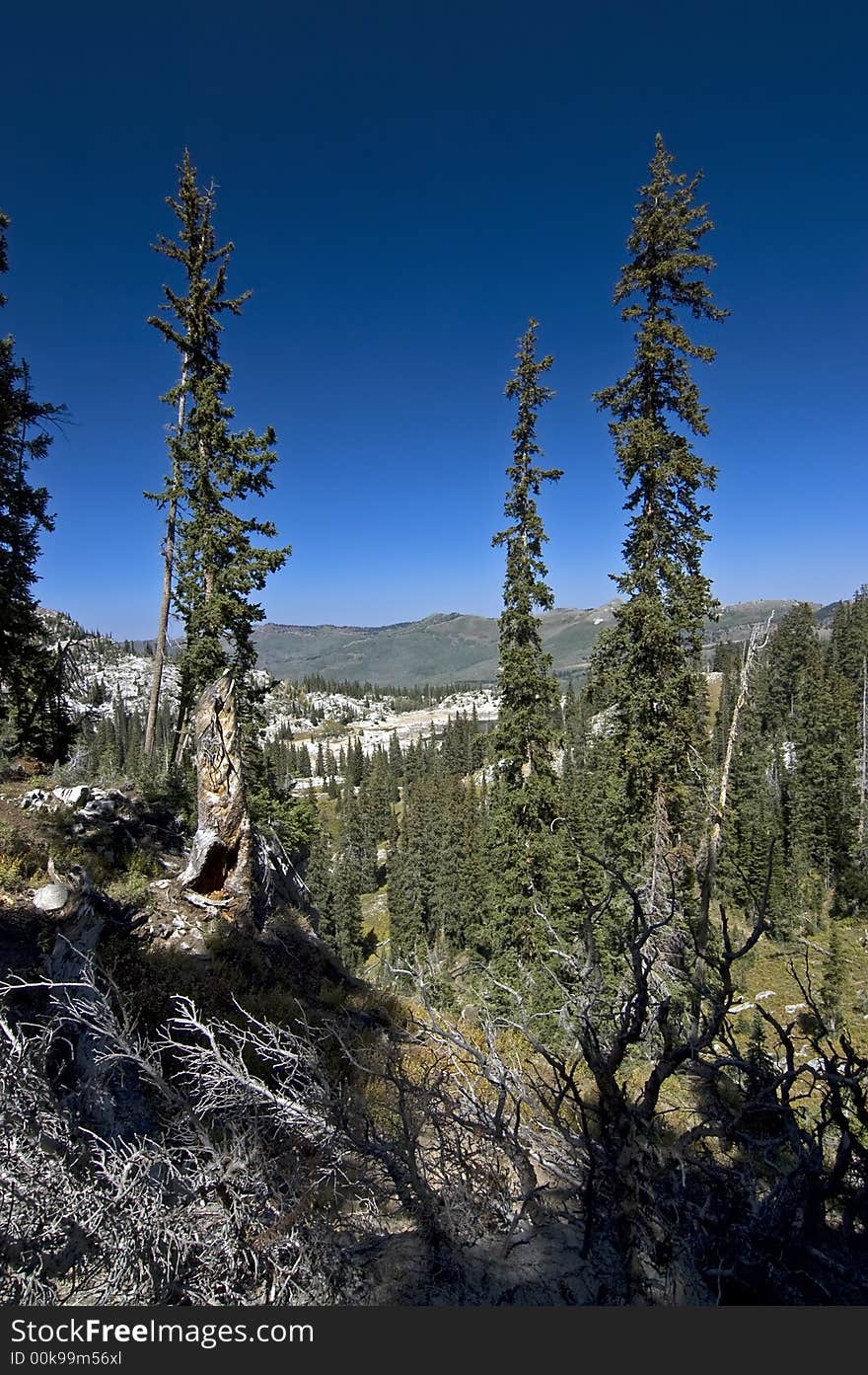 Hidden Glen in the Wasatch Mountains, Utah. Hidden Glen in the Wasatch Mountains, Utah